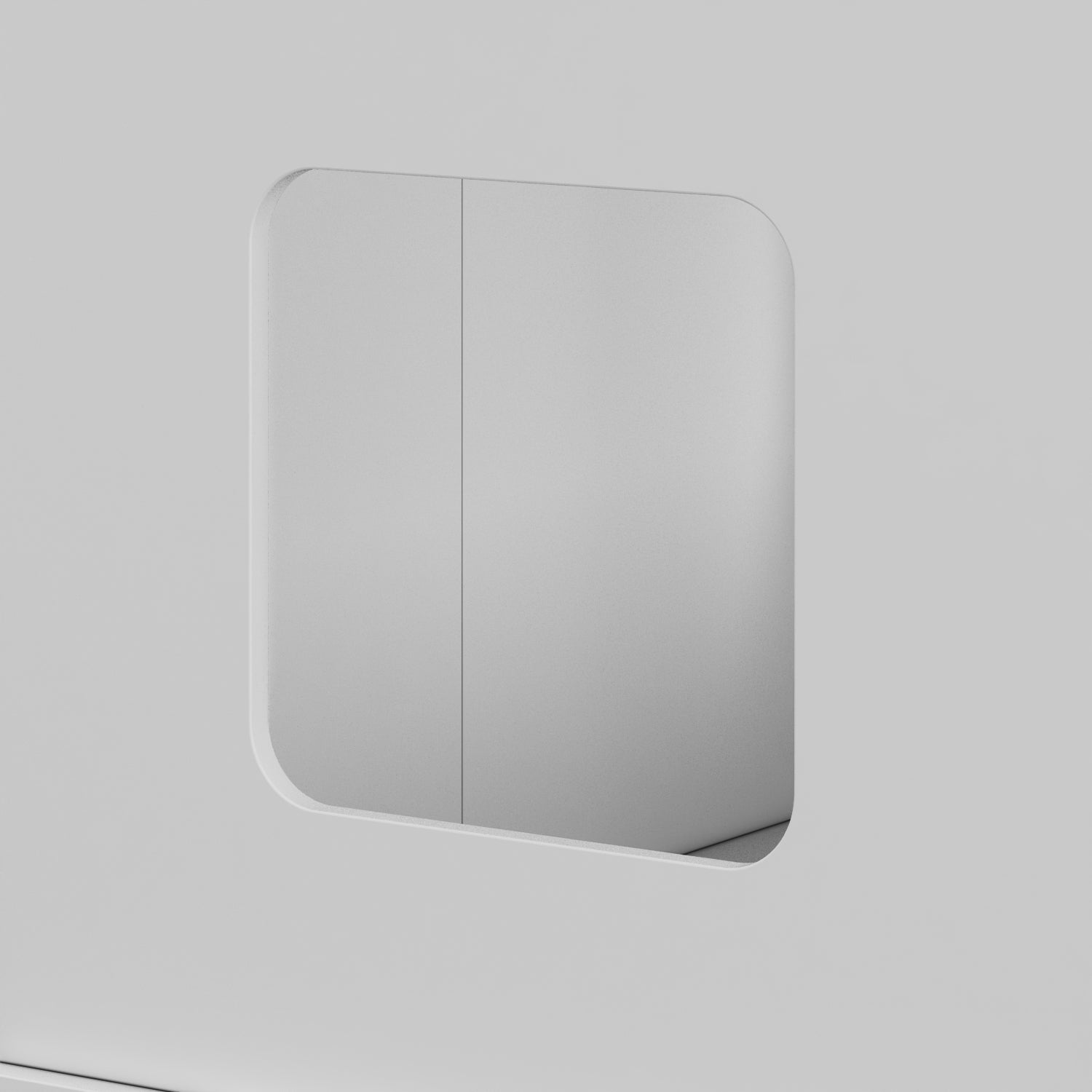 Cat Litter Box Enclosure