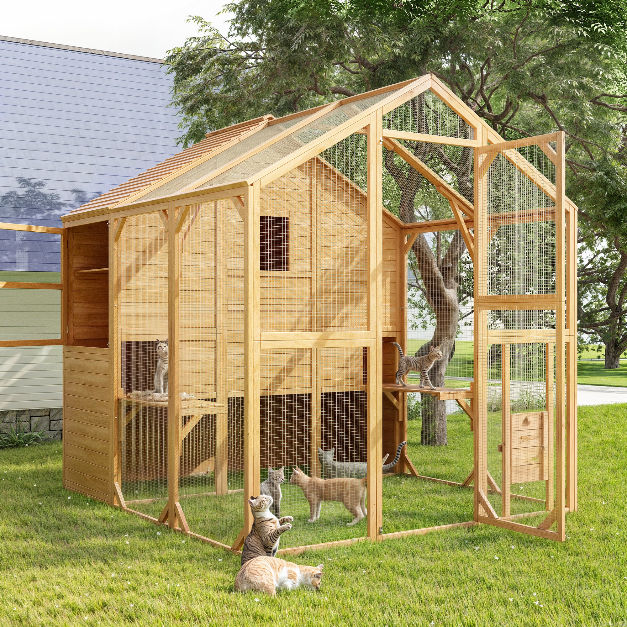 Large Outdoor Cat Enclosure with Cover and Multi-Level Design
