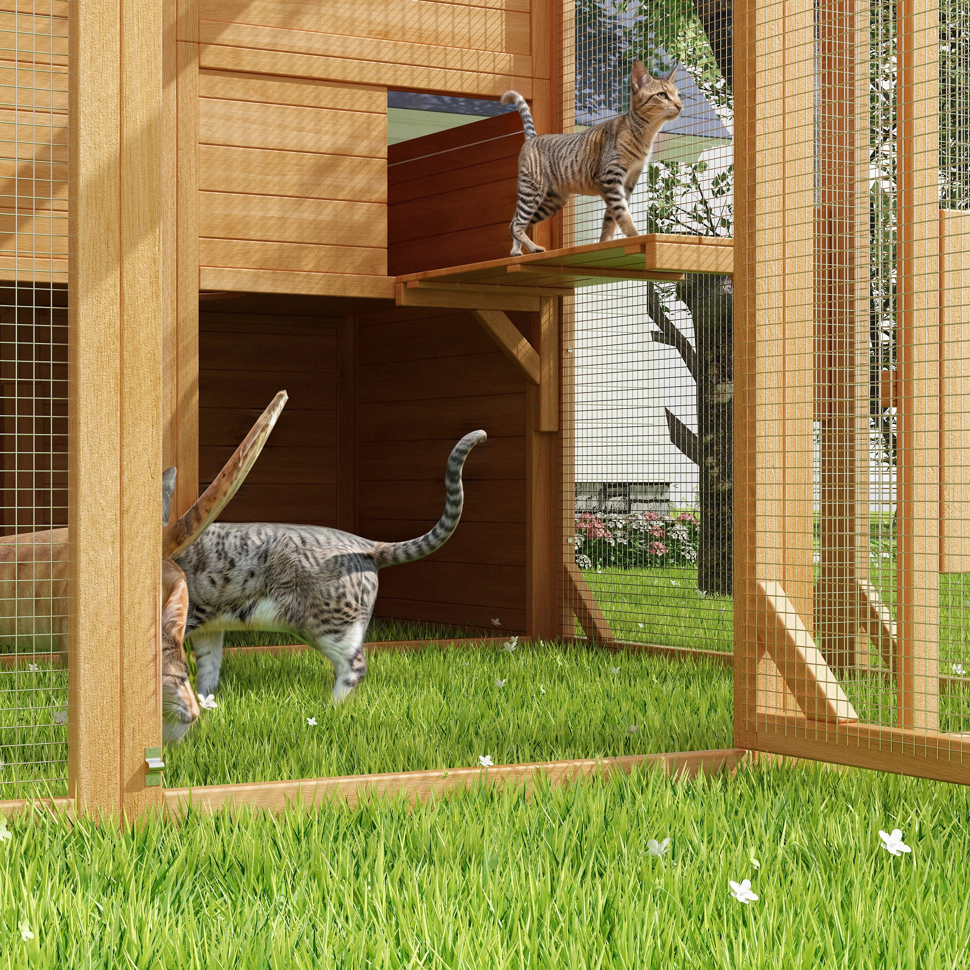 Large Outdoor Cat Enclosure with Cover and Multi-Level Design