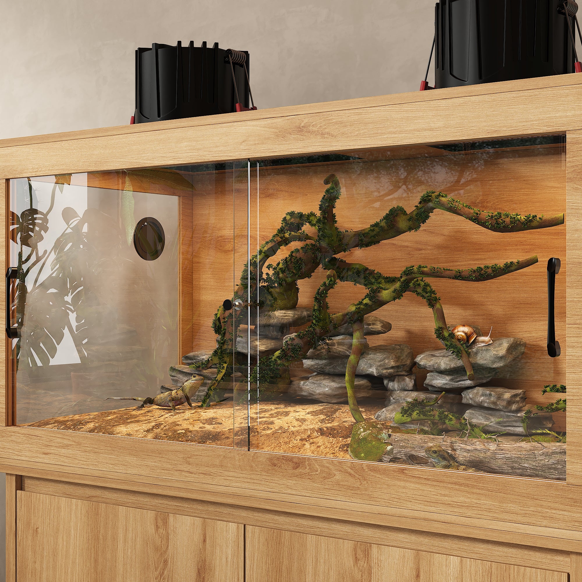 Natural Wood Reptile Terrarium