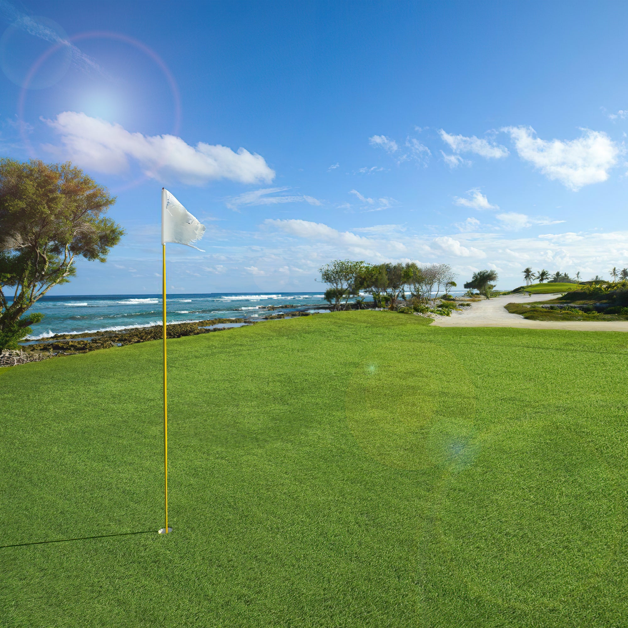 Artificial Grass Turf Lawn Indoor Outdoor Garden Lawn Landscape Synthetic Grass Mat