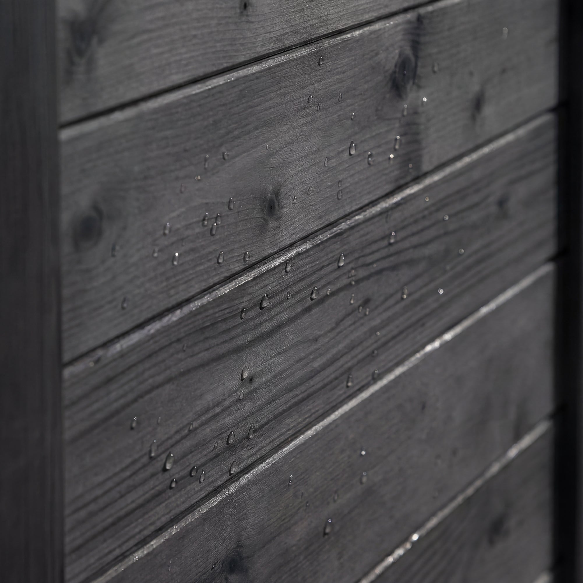 #Color_Black