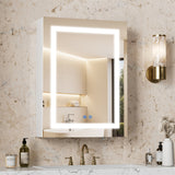 Multi-Function Lighted Bathroom Medicine Cabinet Mirror 