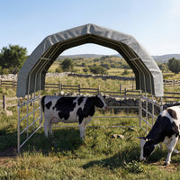 Two cows in a grassy field with a portable shelter.