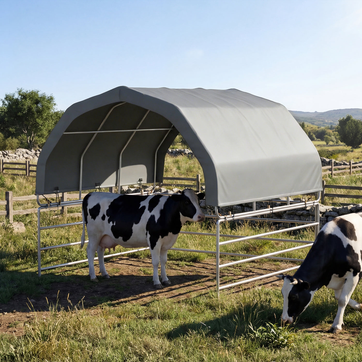 Two cows under a portable shelter in a grassy field with a clear sky