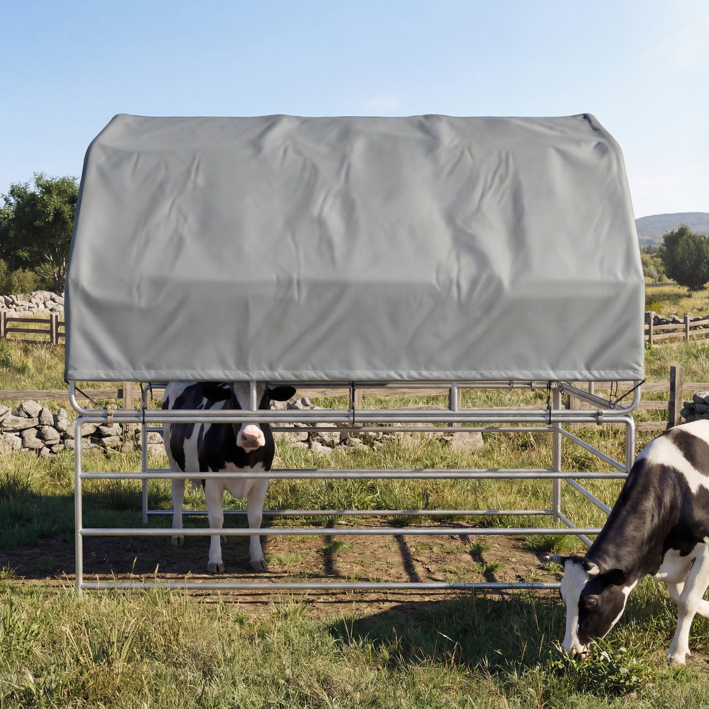 Cows under a gray cover in a grassy field with a clear blue sky