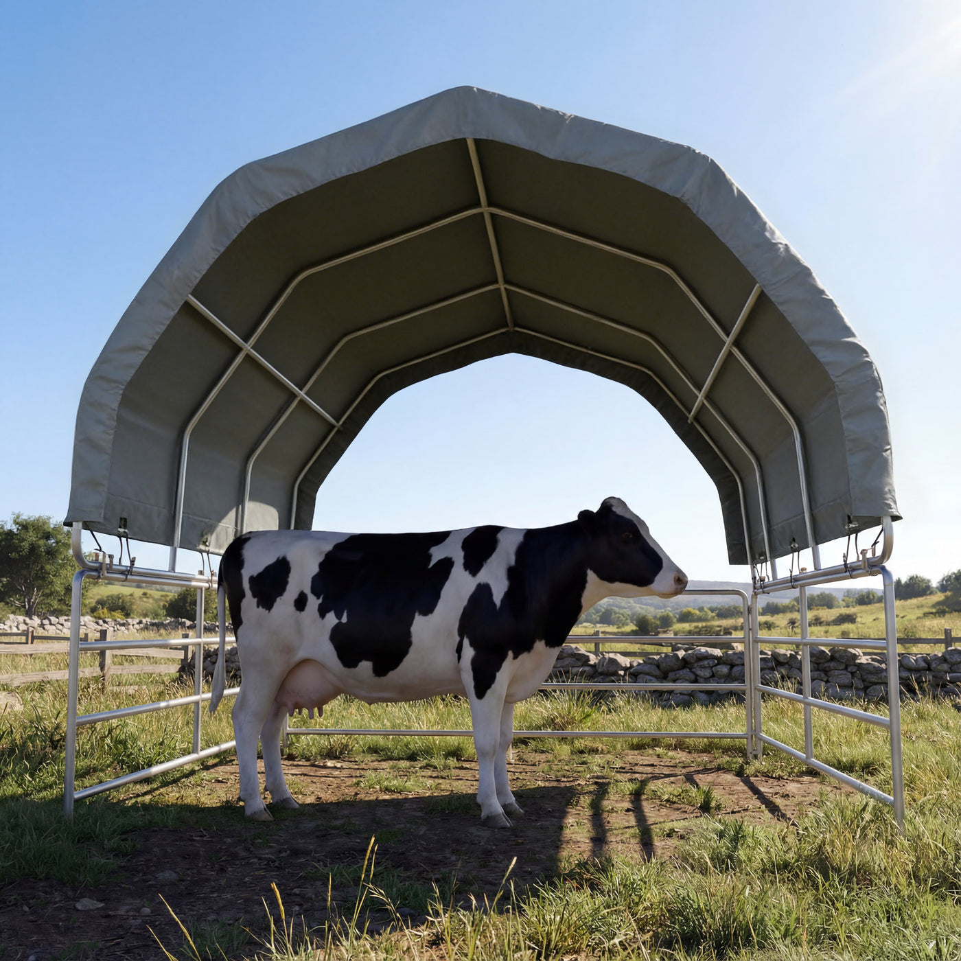 Cow standing under a portable shelter in a field with a clear blue sky