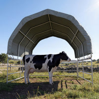 Cow standing under a portable shelter in a field with a clear blue sky