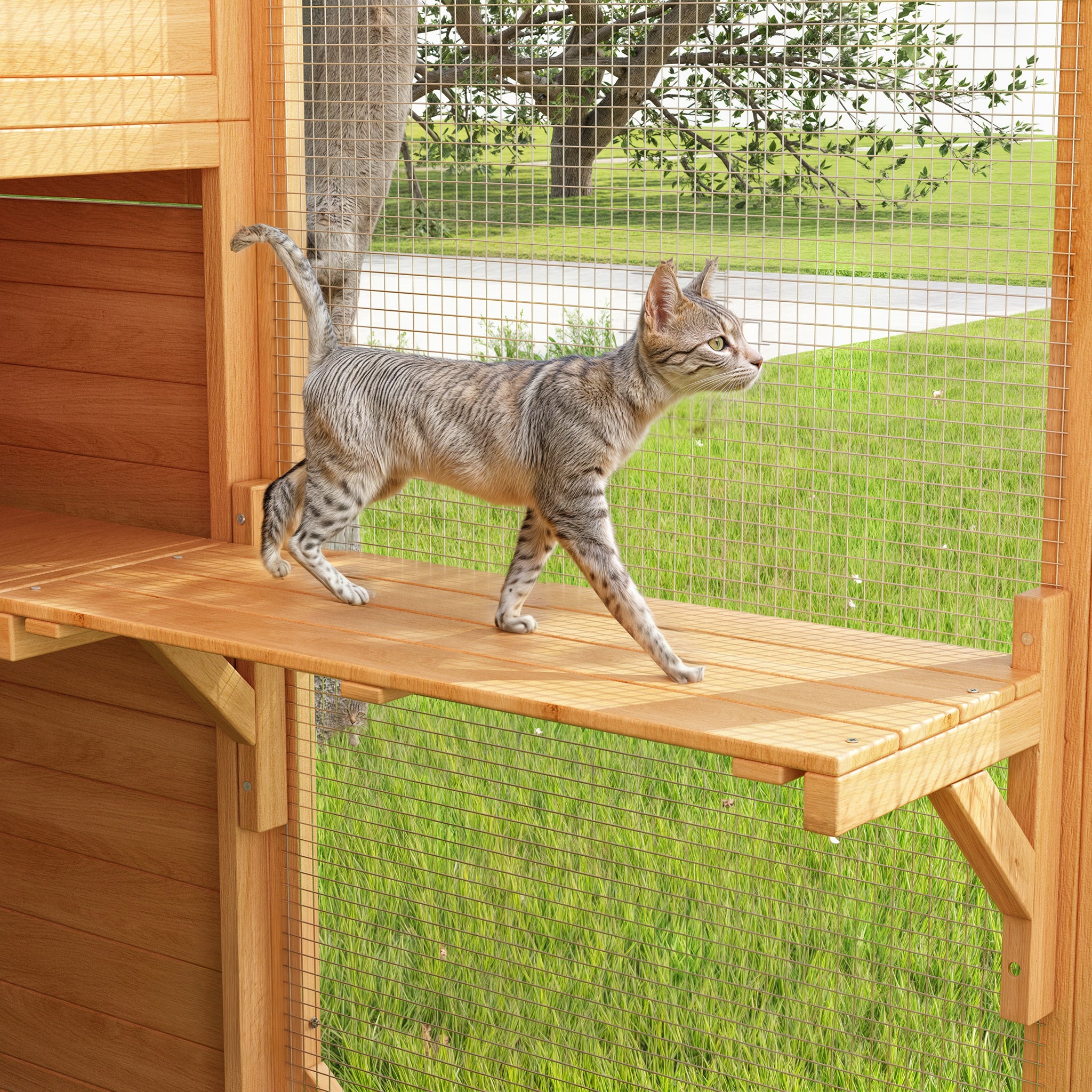 Large Outdoor Cat Enclosure with Cover and Multi-Level Design