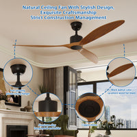 65" Modern Walnut Ceiling Fan with 3 Wood Blades
