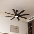 Ceiling Fans