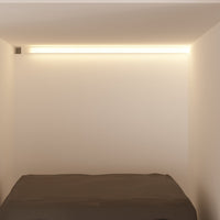 #Color_White