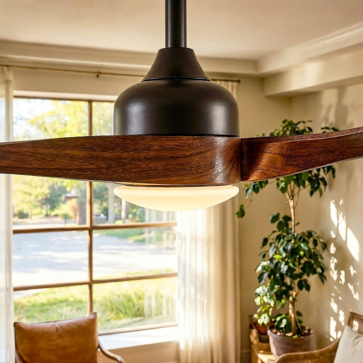 Ceiling fan with wooden blades and black light fixture in a room with a window and plant.
