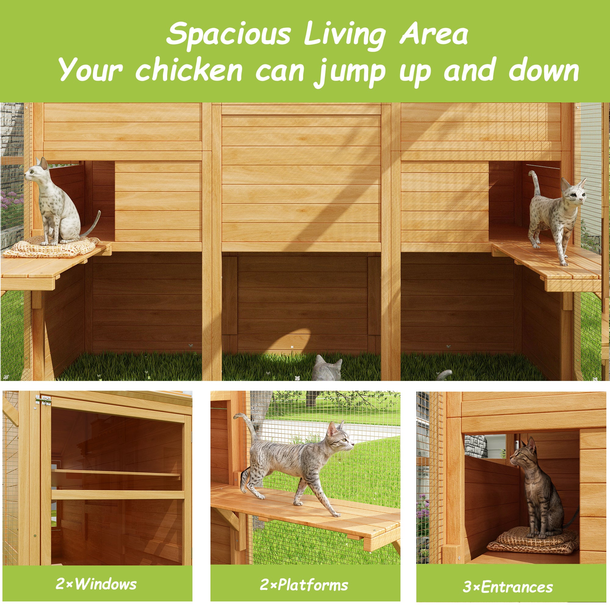 Large Outdoor Cat Enclosure with Cover and Multi-Level Design