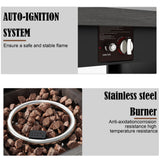 Stainless steel burner with auto-ignition system and text highlighting features.