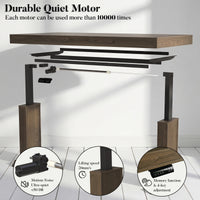 Dark wood standing desk with electric height adjustment and control panel