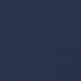 #Color_Blue
