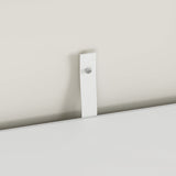 #Color_White