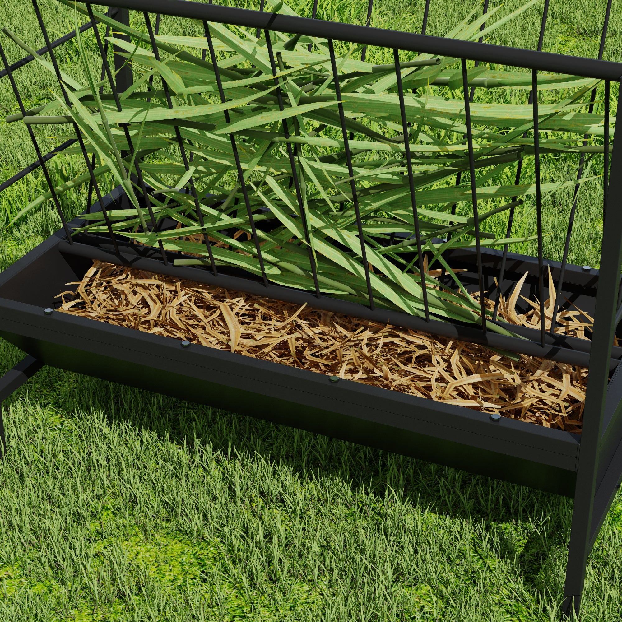 Bird cage with green plants and straw bedding on a grassy background