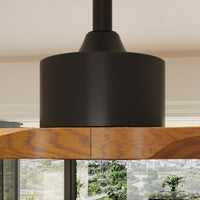 65" Modern Walnut Ceiling Fan with 3 Wood Blades