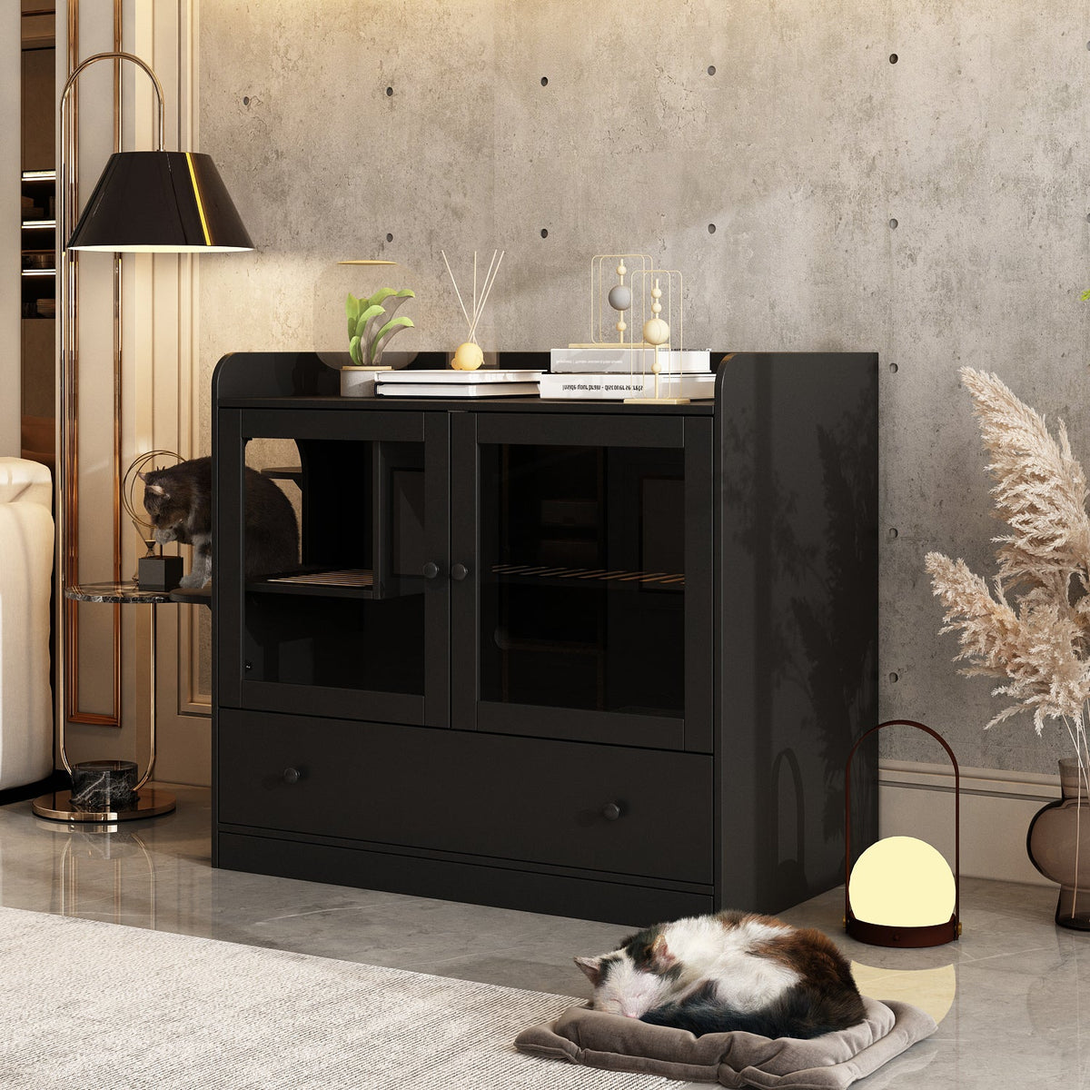 #color_Black