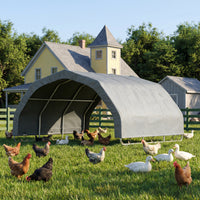 Farmhouse with a large outdoor shelter where chickens and ducks are gathered on a sunny day