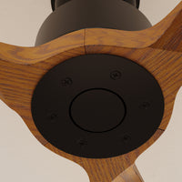 65" Modern Walnut Ceiling Fan with 3 Wood Blades