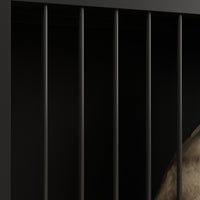 #color_Black