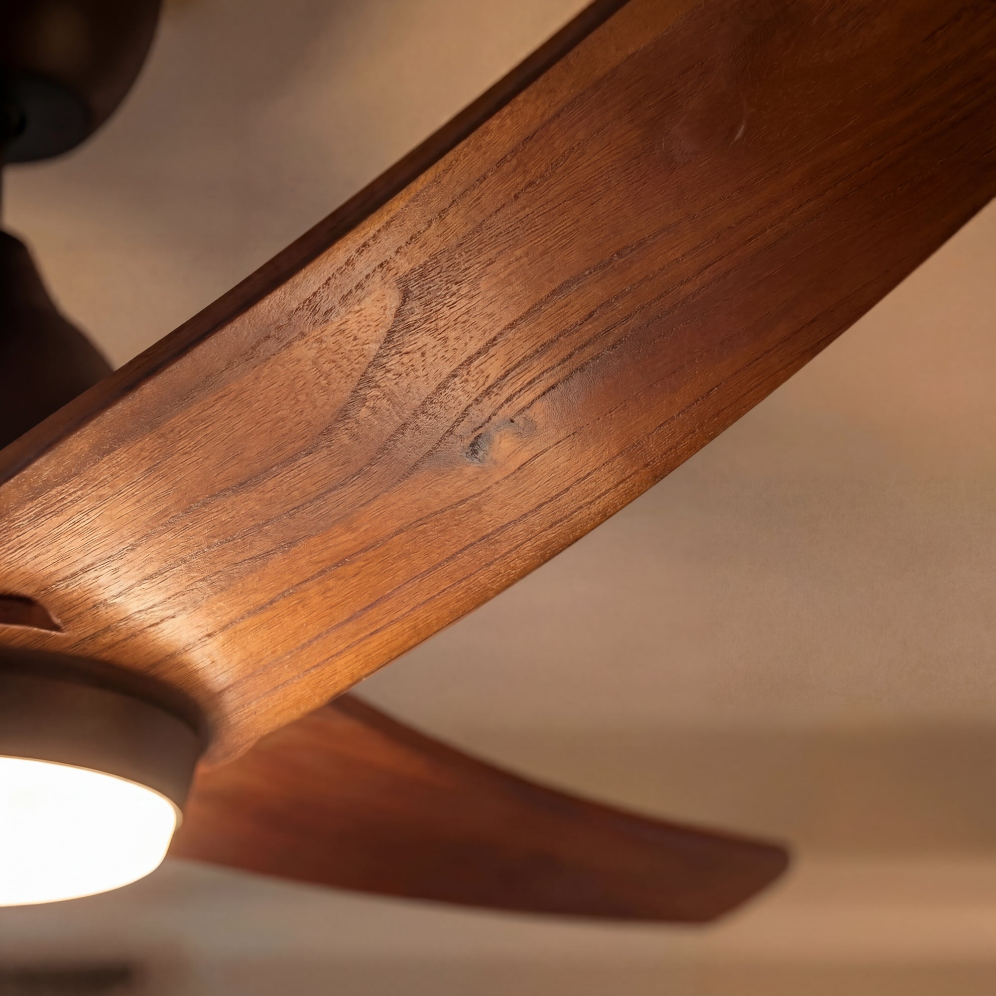 Close-up of a wooden ceiling fan blade with a blurred background