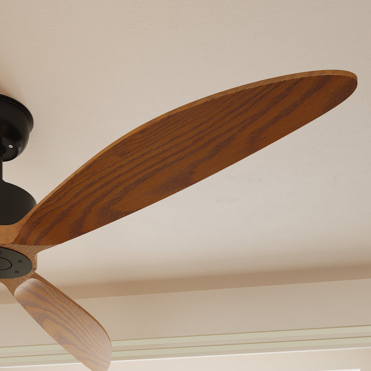 65" Modern Walnut Ceiling Fan with 3 Wood Blades