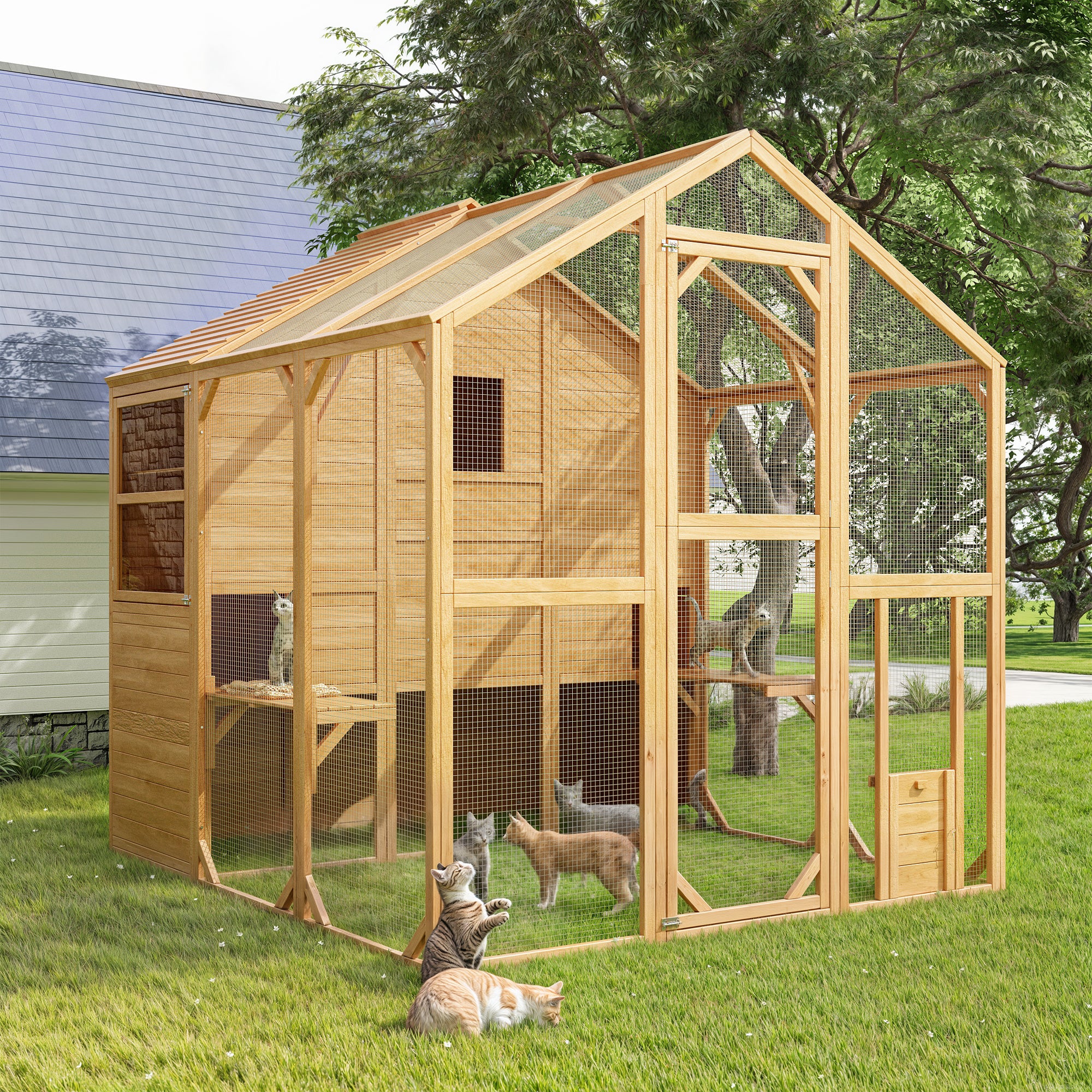 Large Outdoor Cat Enclosure with Cover and Multi-Level Design