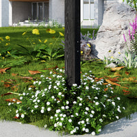 Garden scene with white flowers, green grass, and a large rock in the background