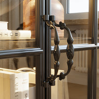 Close-up of a glass door with decorative handle and books inside