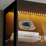 31.5 inch Modern Black Display Bookcase with LED Light and Glass Doors