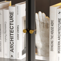 31.5" Modern Black Display Bookcase with LED Light and Glass Doors