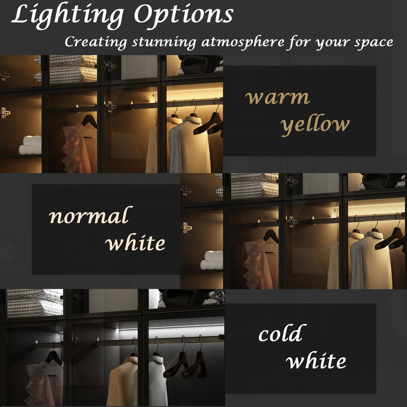 Modern wardrobe with clothes and shelves in a well-lit room