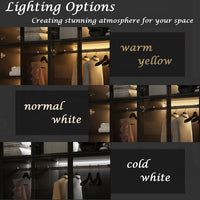 Modern wardrobe with clothes and shelves in a well-lit room