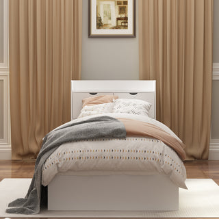 Platform Storage Queen Bed with Storage Headboard and 2 Drawers