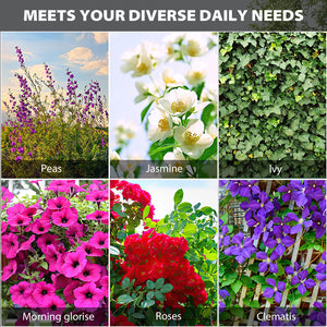 Decorative Garden Fence 1 Pack Border Fence Panel Anti-Rust
